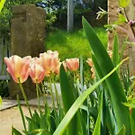 別荘 Urlaub Im 200 Jahre Alten Fachwerkhaus *