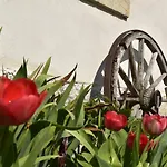 Urlaub Im 200 Jahre Alten Fachwerkhaus Lichtenhain (Sebnitz)