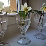 Urlaub Im 200 Jahre Alten Fachwerkhaus *