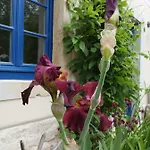 Urlaub Im 200 Jahre Alten Fachwerkhaus * Lichtenhain