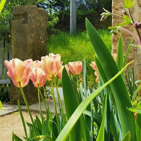 בית נופש Urlaub Im 200 Jahre Alten Fachwerkhaus *