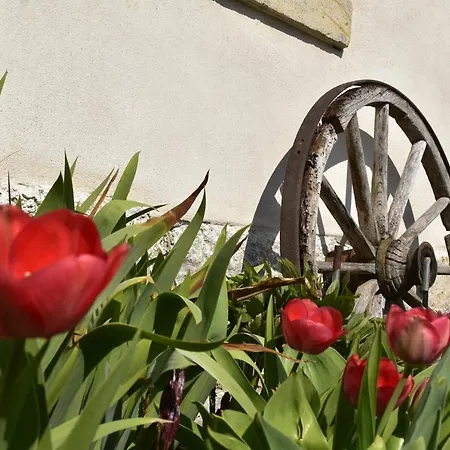 Urlaub Im 200 Jahre Alten Fachwerkhaus Lichtenhain (Sebnitz)