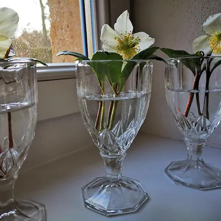 Urlaub Im 200 Jahre Alten Fachwerkhaus *