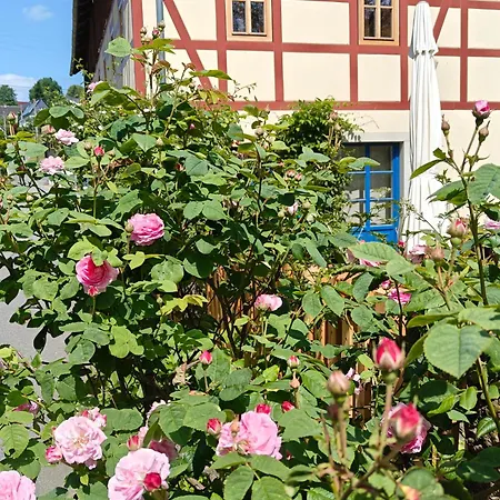 Urlaub Im 200 Jahre Alten Fachwerkhaus