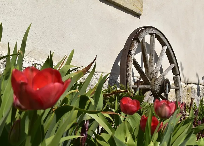 Urlaub Im 200 Jahre Alten Fachwerkhaus Lichtenhain (Sebnitz)