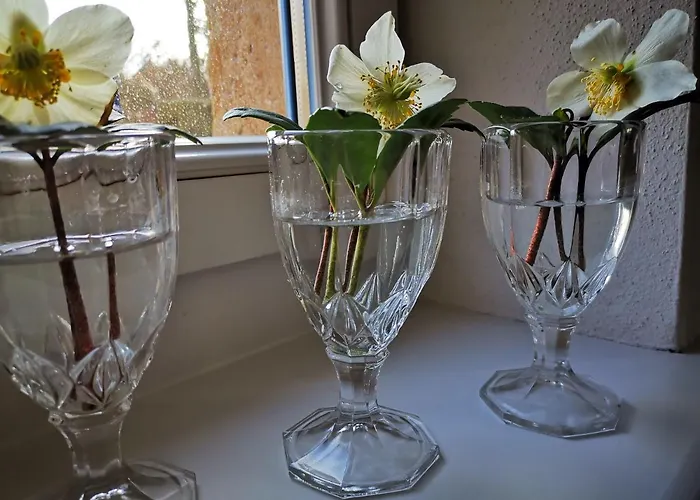 Urlaub Im 200 Jahre Alten Fachwerkhaus *